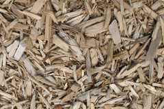 biomass boilers Lowood
